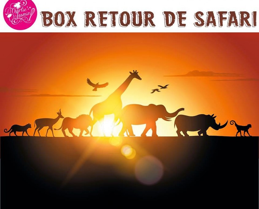 box retour de safari