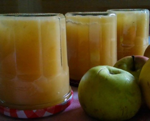 compote de pommes virginie rouaix