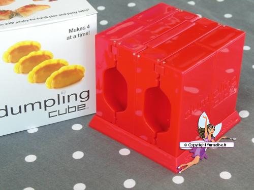 dumpling cube