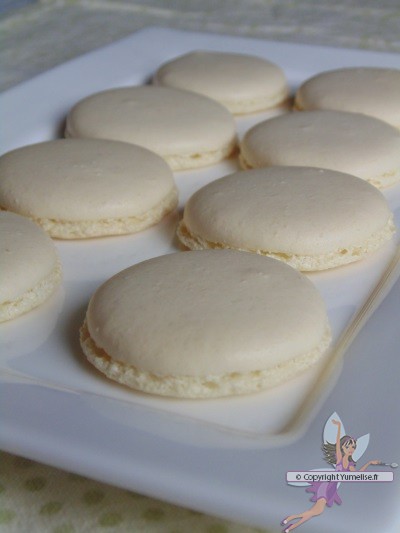 Coques à macarons - meringue italienne - recette détaillée : Il