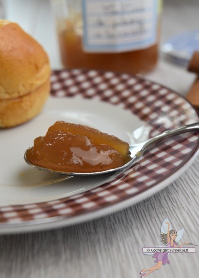 Gelée De Pommes Avec Lextracteur De Jus Fruits