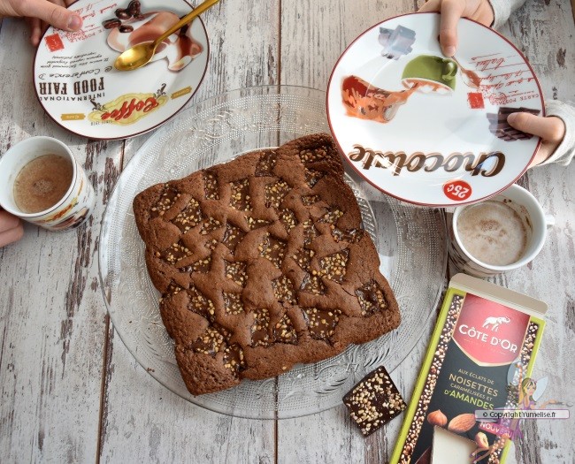 brownie aux éclats de noisettes caramélisées et d'amandes