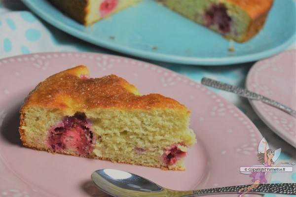 part de gâteau à la compote de rhubarbe et framboises