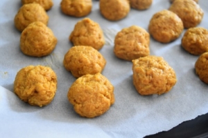 croquettes de poisson non cuites