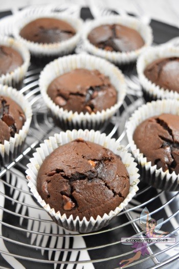 muffins chocolat aux pépites de chocolat au lait