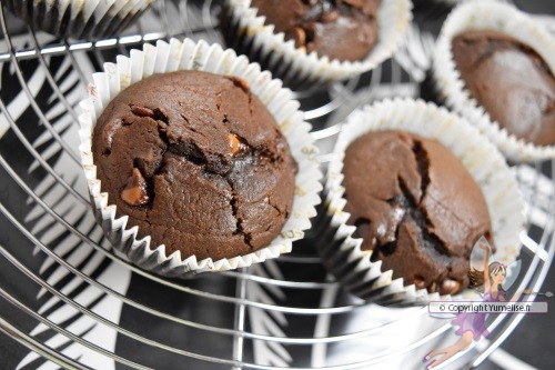 muffins au chocolat et pépites 