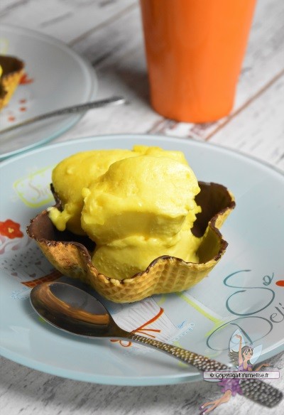 Sorbet Express A La Mangue Dessert Glace