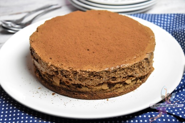 gâteau à la mousse au chocolat