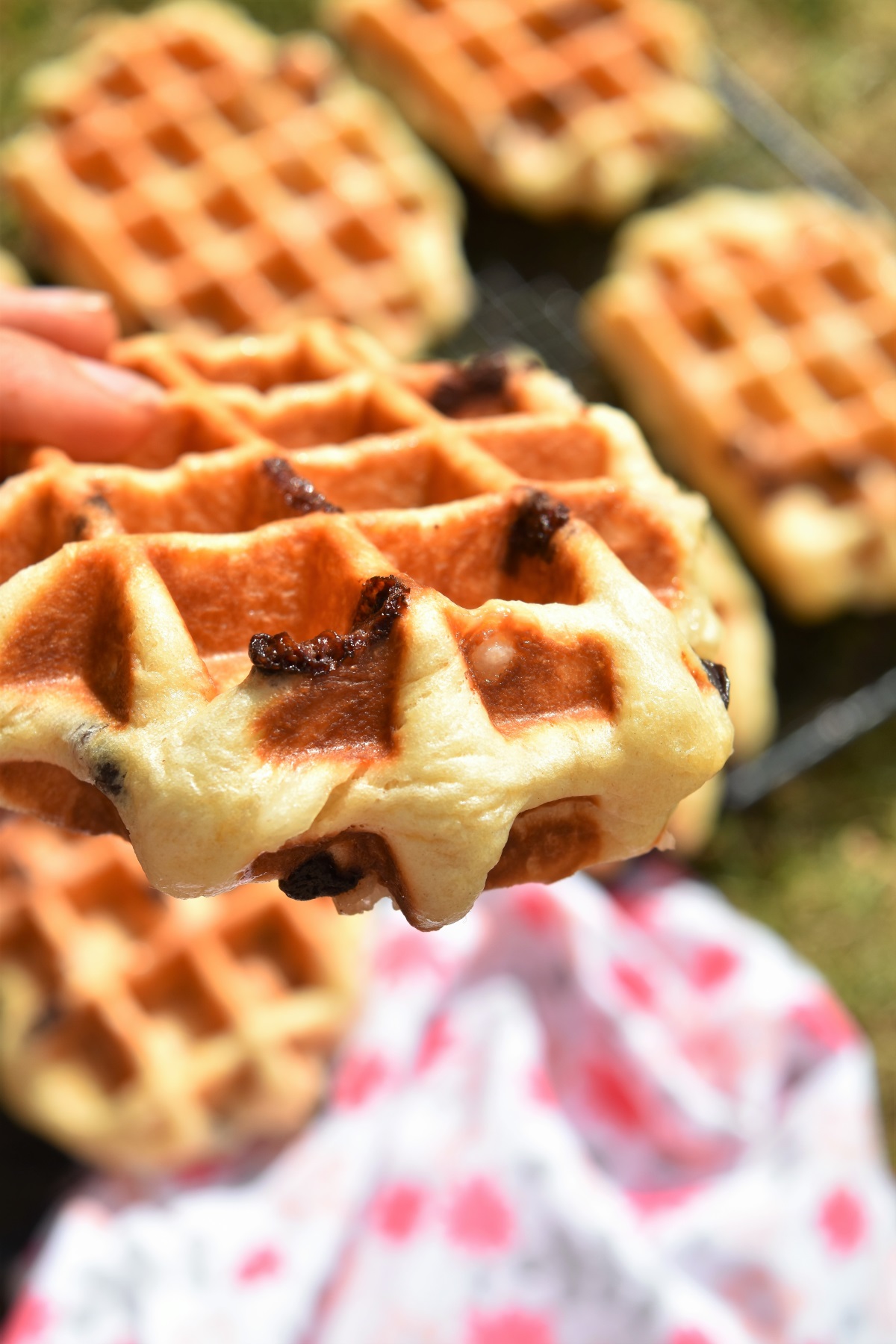 Gaufre liégeoise aux pépites de chocolat