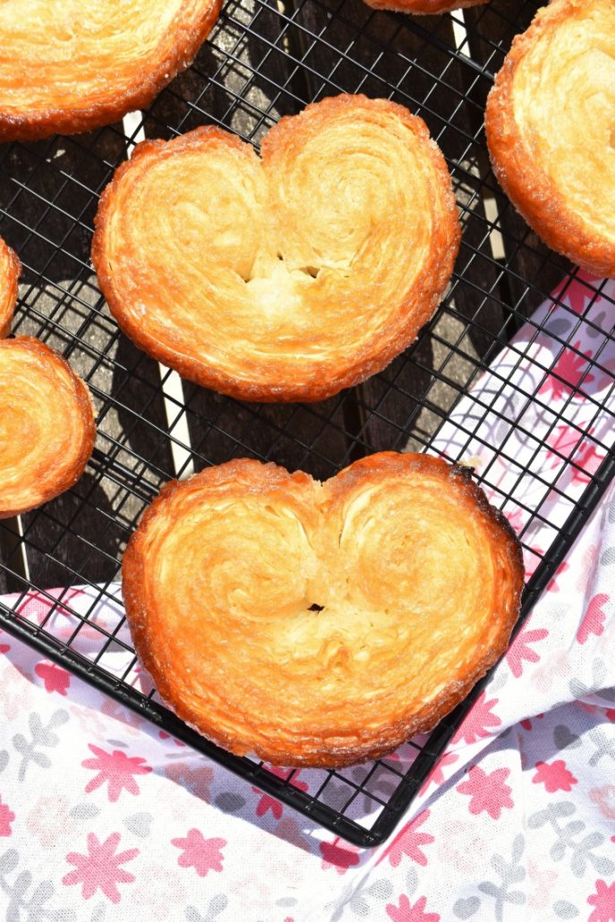 Palmier sucré maison