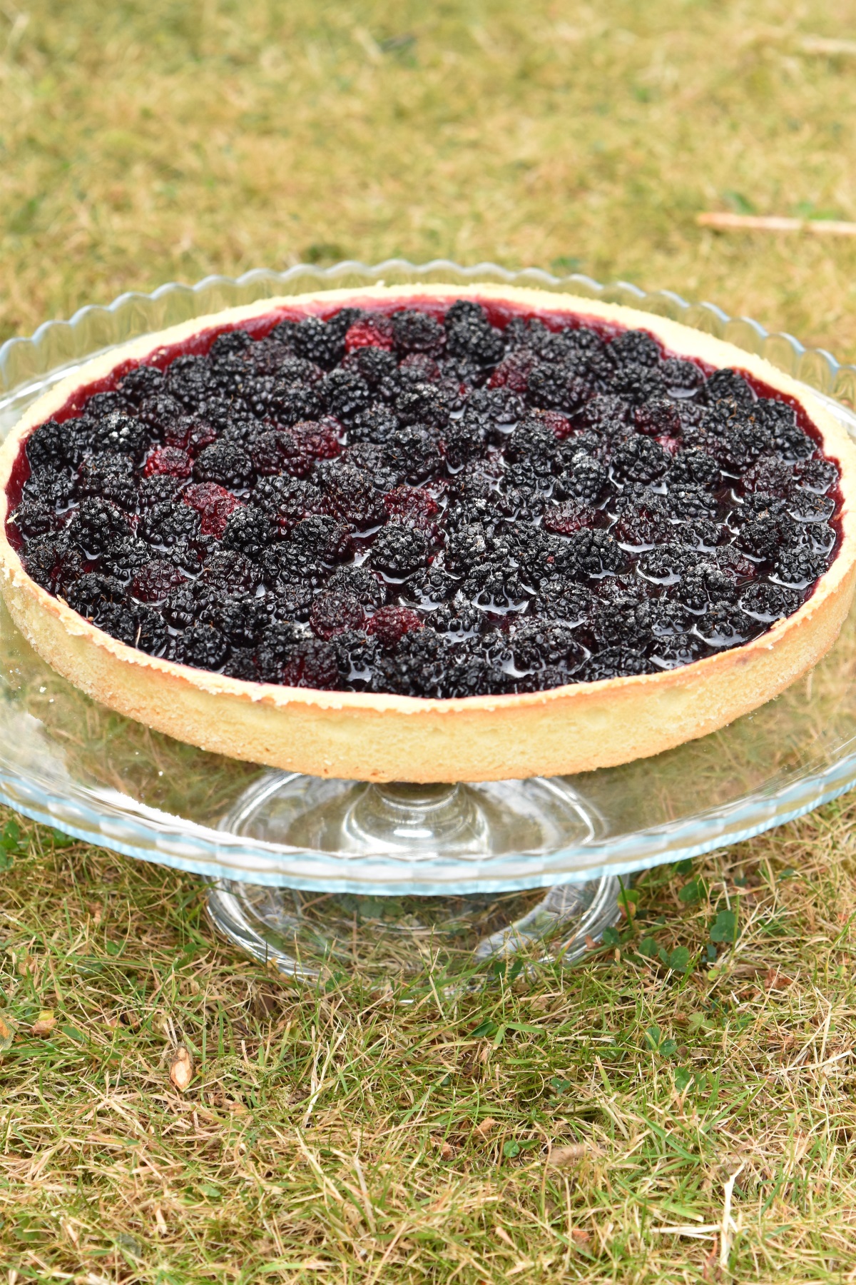 Tarte aux mûres facile