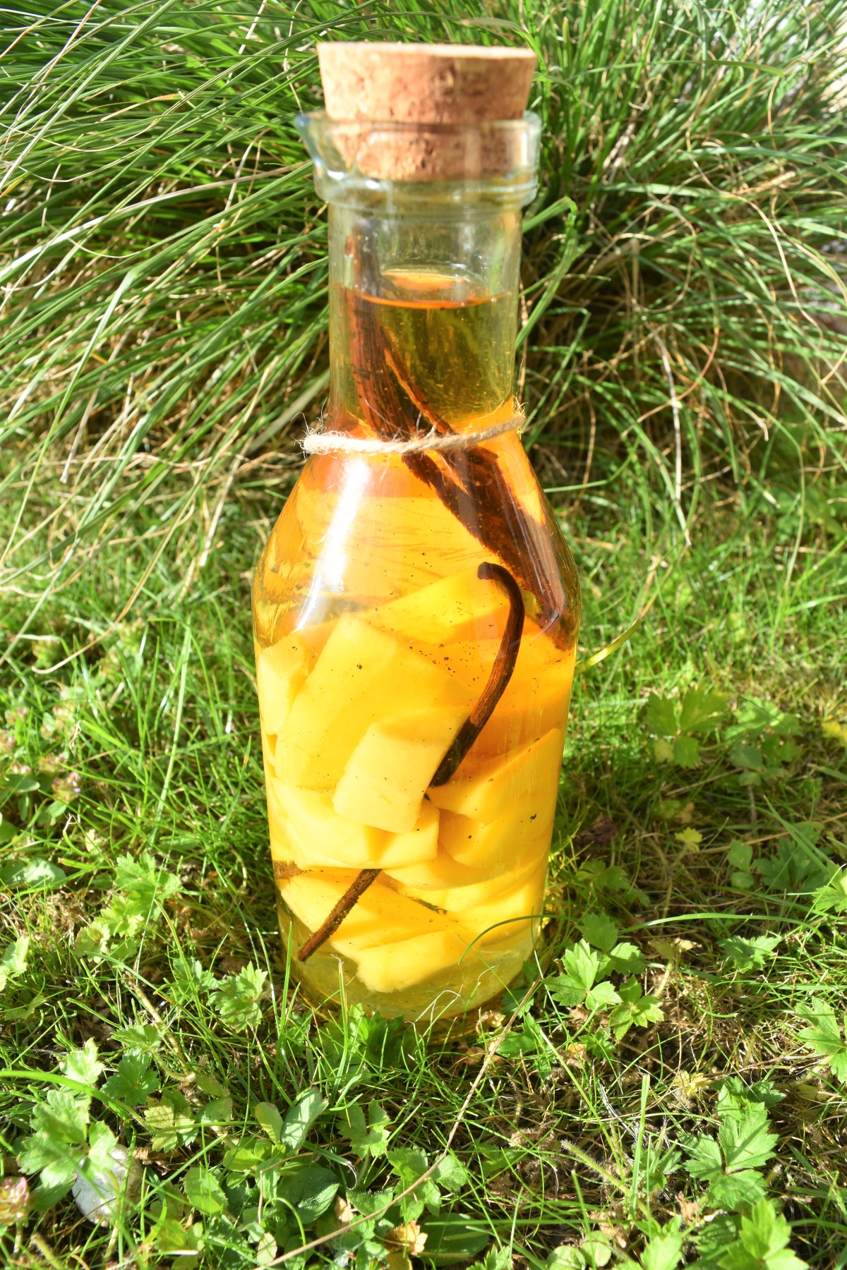 PREPARATION POUR RHUM ARRANGE MANGUE ANANAS 3L