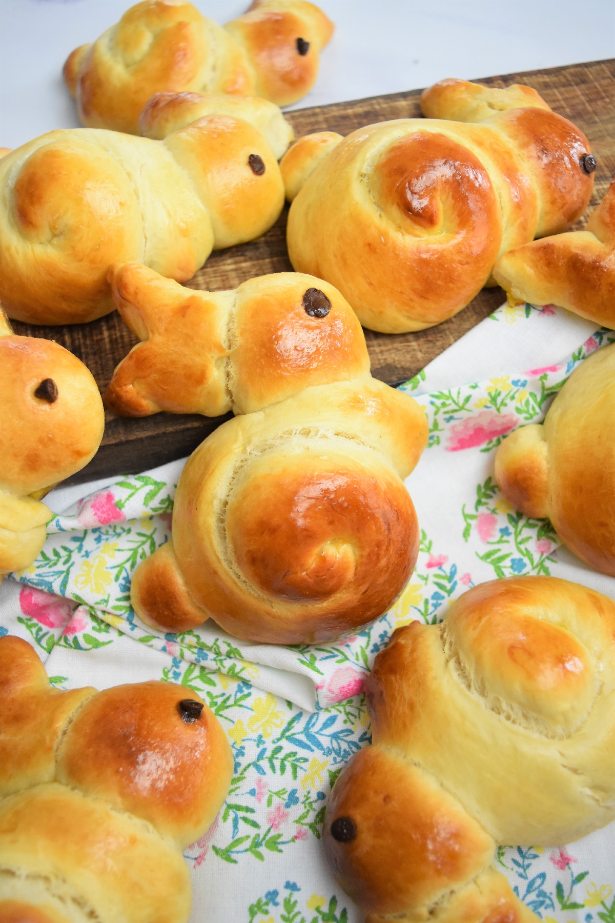 Lapin brioche