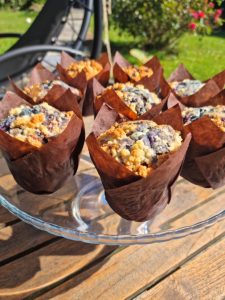 Muffins aux myrtilles