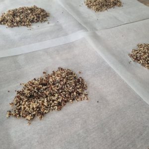 Papillotes de poisson au quinoa
