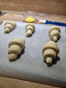 Pousse des croissants