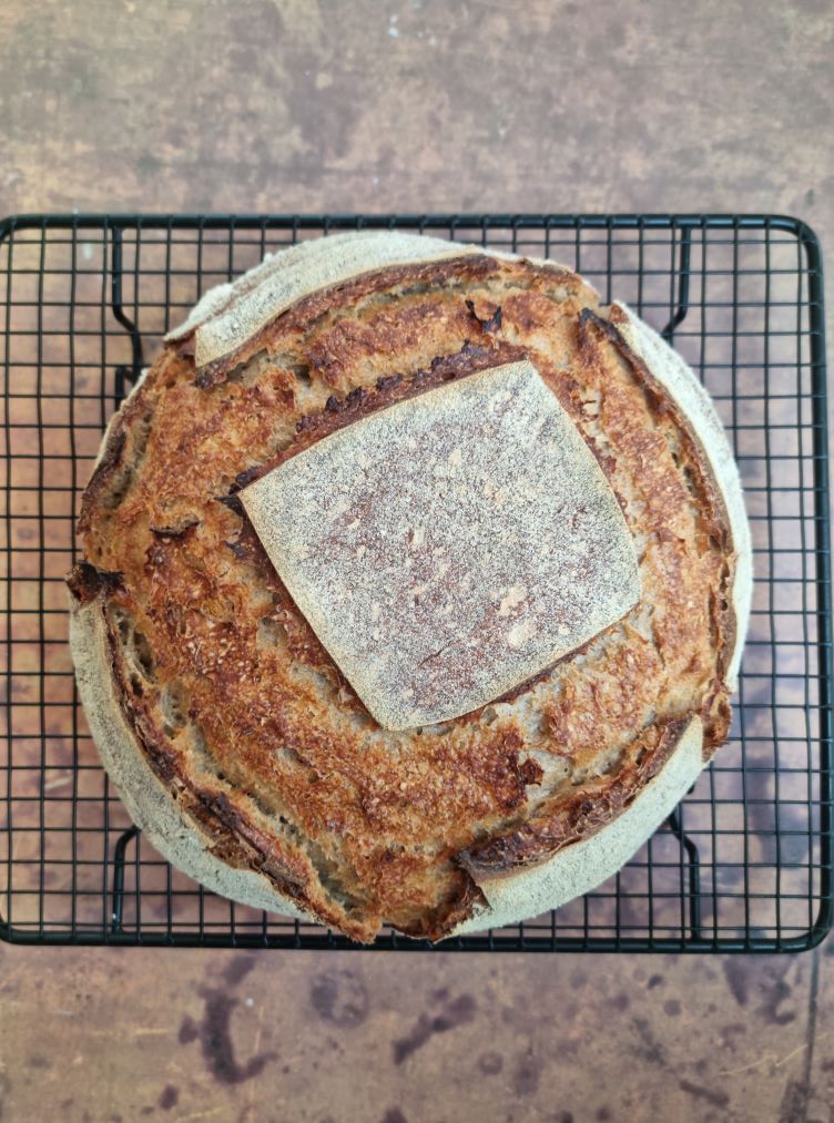 Pain au levain à la farine de seigle et farine de blé