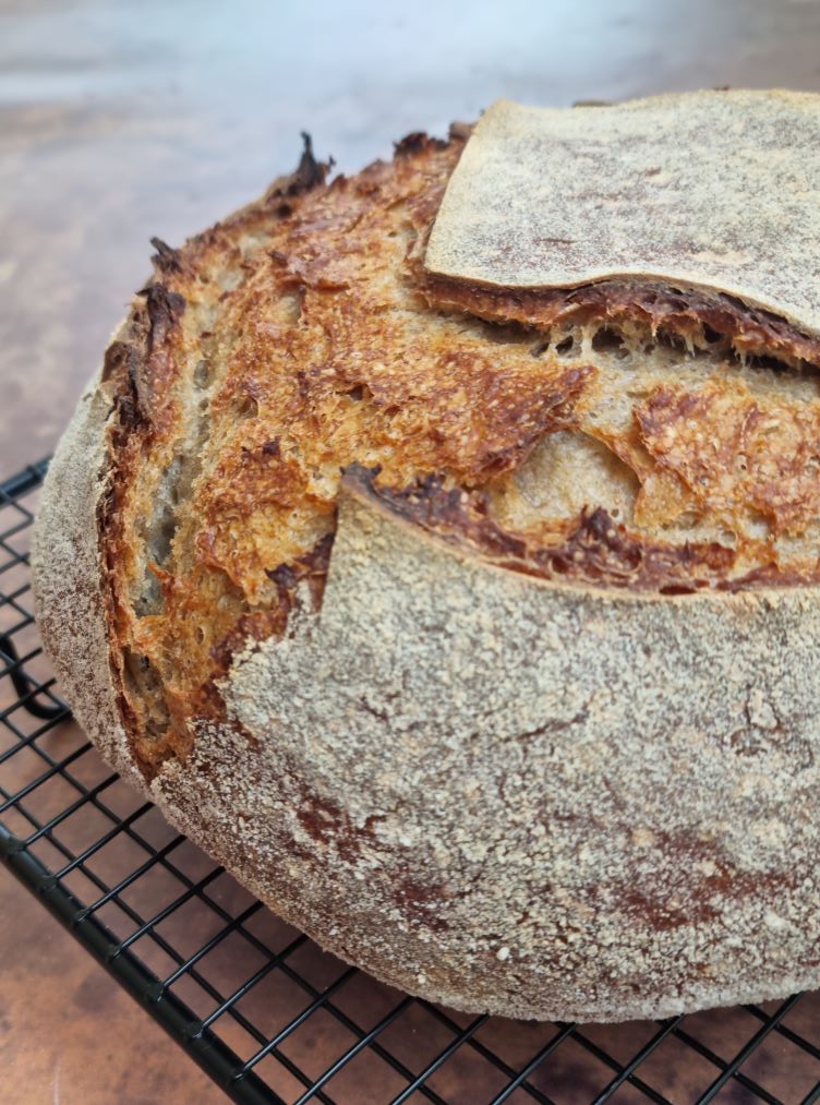 Pain de méteil au levain