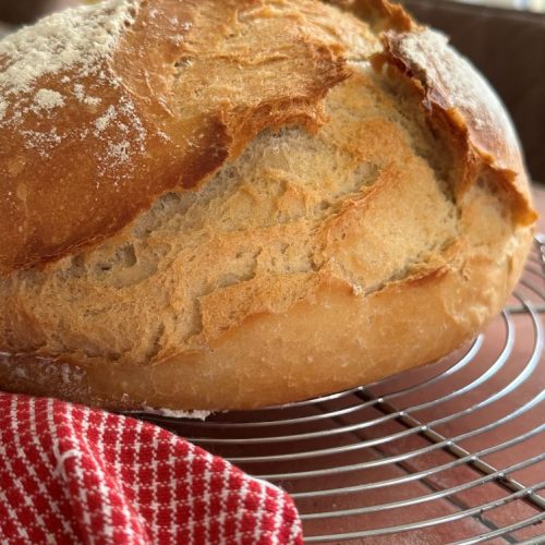 Pain au Thermomix cuisson cocotte