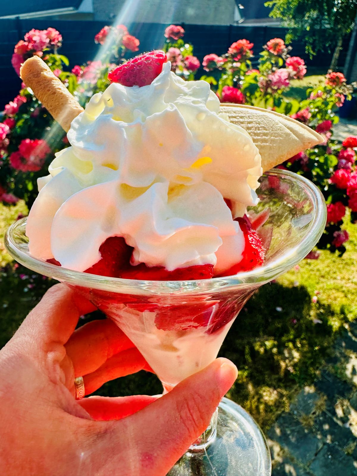 Glace Fraise Melba maison