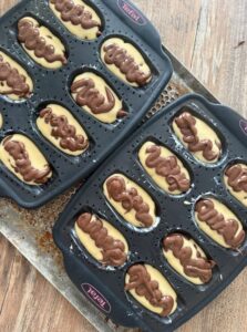 madeleines cacao vanille