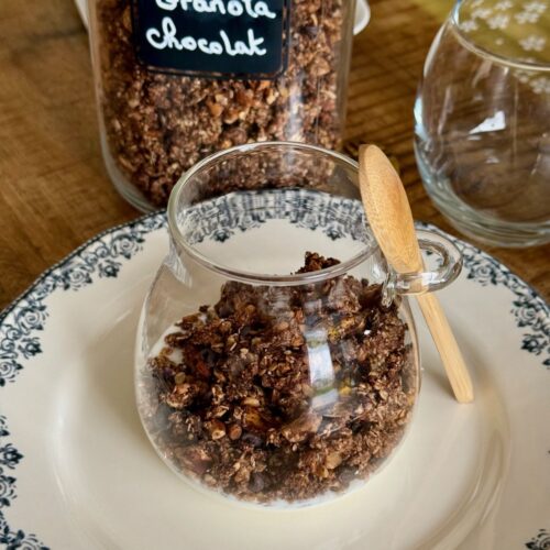 Granola maison au chocolat avec thermomix et four