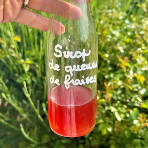 Sirop de queues de fraises maison